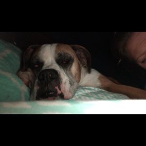 Meet your Posher, Makayla